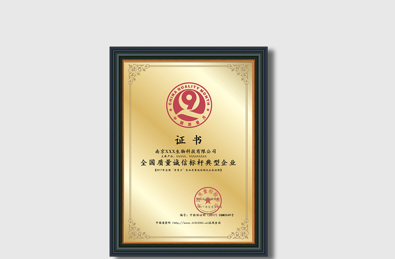 2017年質(zhì)量月全國(guó)質(zhì)量誠(chéng)信標(biāo)桿典...