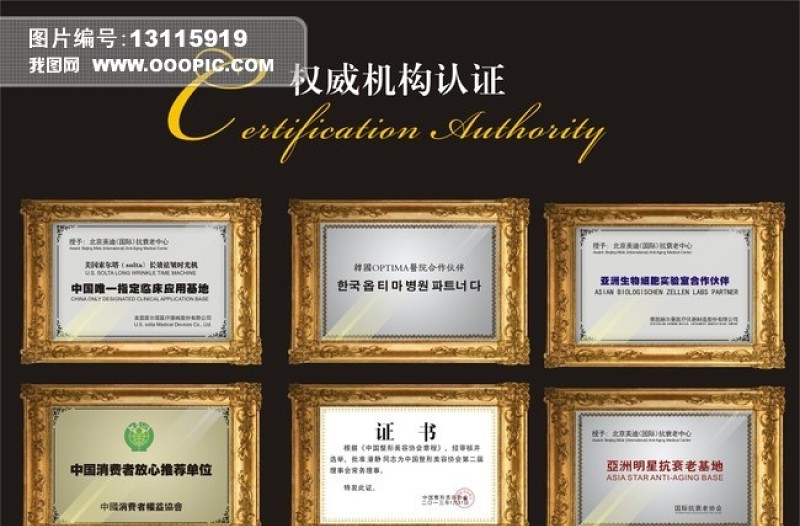 認證證書榮譽證書授權(quán)證書獎狀優(yōu)秀員...