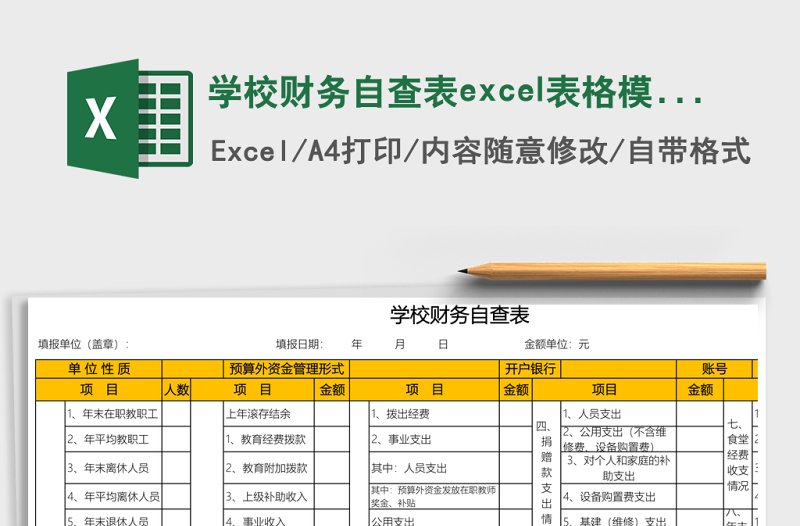 學(xué)校財務(wù)自查表excel表格模板