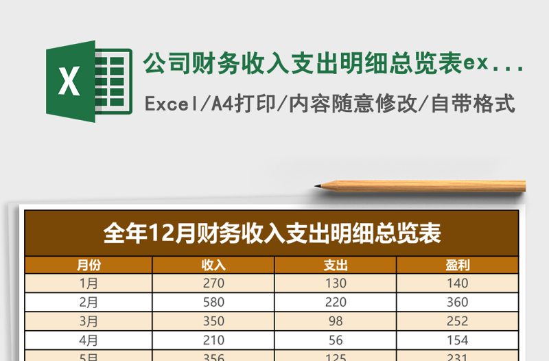 公司財務(wù)收入支出明細總覽表excel模板