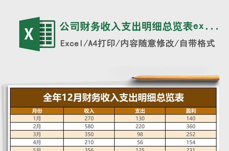 公司財務收入支出明細總覽表excel模板