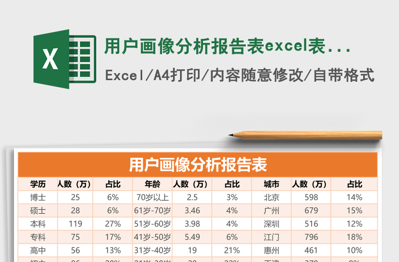 用戶畫像分析報(bào)告表excel表格模板
