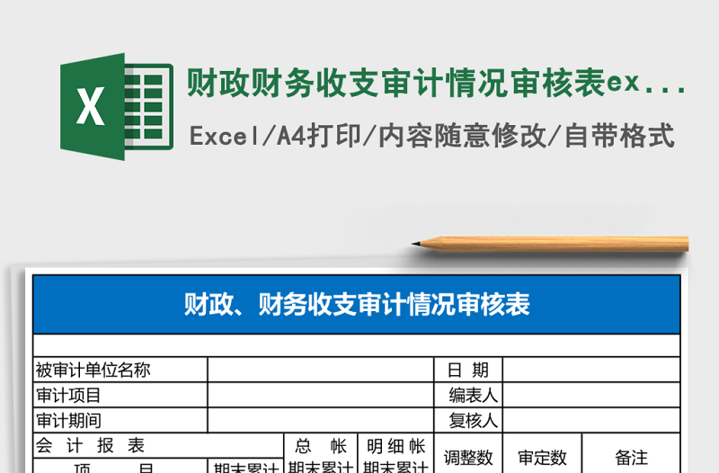財(cái)政財(cái)務(wù)收支審計(jì)情況審核表excel模板