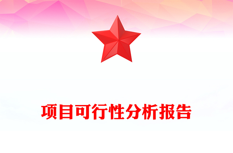 項目可行性分析報告