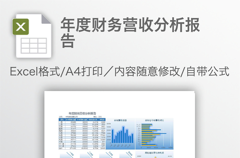 年度财务营收分析报告