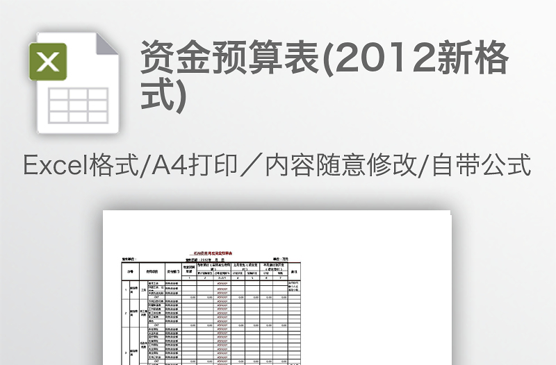 資金預(yù)算表(2012新格式)