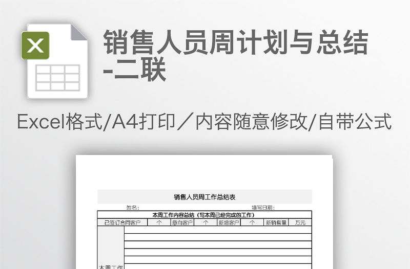 銷售人員周計(jì)劃與總結(jié)-二聯(lián)