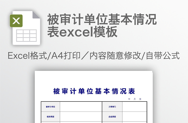 被审计单位基本情况表excel模板