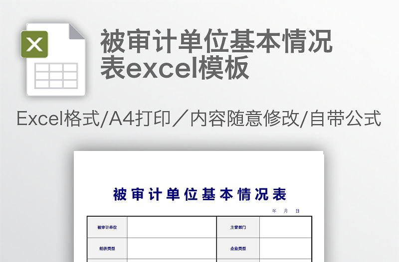 被審計單位基本情況表excel模板