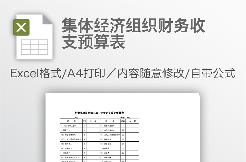 集体经济组织财务收支预算表