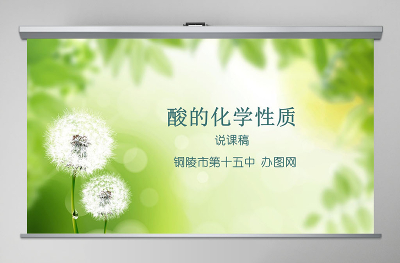 酸的化學(xué)性質(zhì)PPT