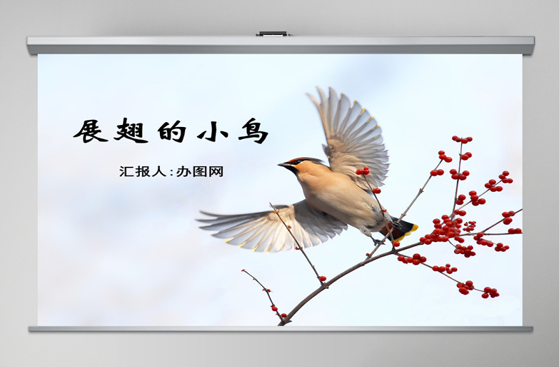 嶺南版美術展翅的小鳥ppt