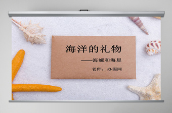 第九課海螺和海星嶺南版一年級下冊美術ppt