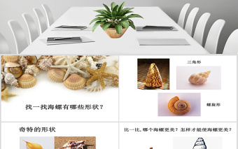第九課海螺和海星嶺南版一年級下冊美術(shù)ppt