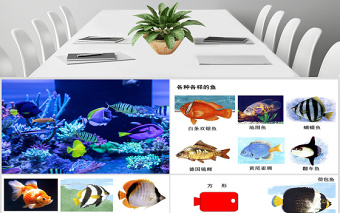 嶺南版美術(shù)一年級下冊7、大魚和小魚ppt