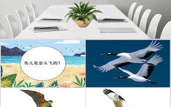 嶺南版美術一下第1課漫游飛行世界課件ppt