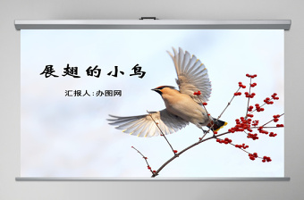嶺南版美術(shù)展翅的小鳥(niǎo)ppt