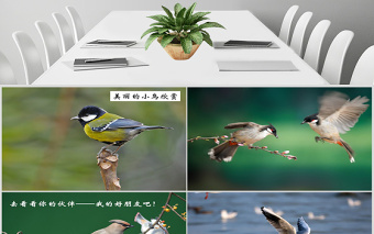 嶺南版美術(shù)展翅的小鳥(niǎo)ppt
