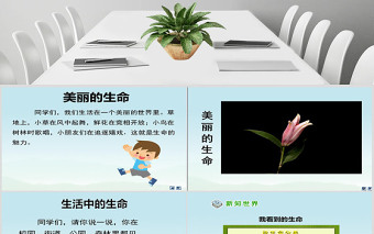 品德與社會(huì)四上美麗的生命PPT課件
