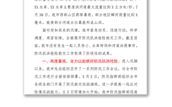 XX市防汛抗洪救灾抢险工作总结Word下载