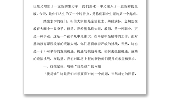 新教師崗前培訓(xùn)講話稿word下載