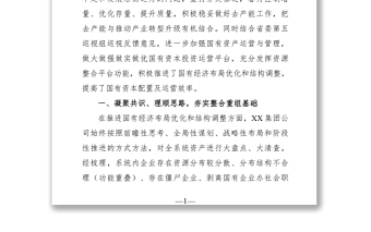 企業(yè)：集團(tuán)公司經(jīng)驗交流材料——重組整合再提升蹄疾步穩(wěn)抓實效