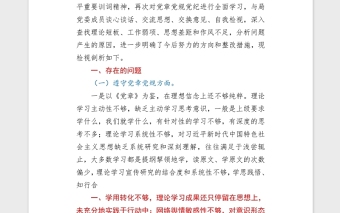 2021党组书记学习教育专题民主（组织）生活会word文档