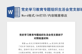 2021黨史學(xué)習(xí)教育專題組織生活會(huì)黨支部班子對(duì)照檢查word文檔