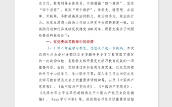 2021黨史學(xué)習(xí)教育專題組織生活會黨支部班子對照檢查word文檔