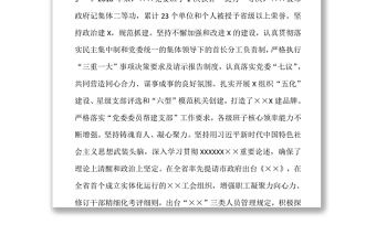 政治巡察黨委工作開展情況總結(jié)報告
