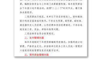 關于嚴肅財經紀律及財務管理風險排查的自查報告