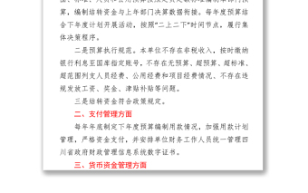 關(guān)于嚴(yán)肅財經(jīng)紀(jì)律及財務(wù)管理風(fēng)險排查的自查報告