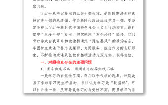 2021政法委書(shū)記2021政法隊(duì)伍教育整頓活動(dòng)專題自查報(bào)告 (1)