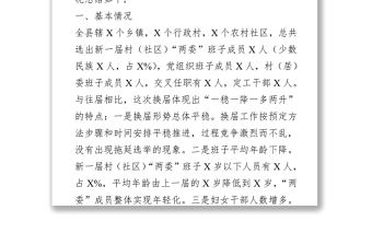 2021年村“兩委”換屆工作總結