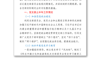 支部委员会班子党史学习教育专题组织生活会对照检查材料