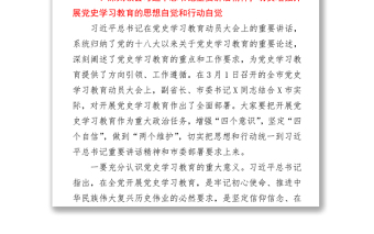 在市醫(yī)保局黨史學(xué)習(xí)教育動(dòng)員大會(huì)暨黨風(fēng)廉政建設(shè)會(huì)議上的講話