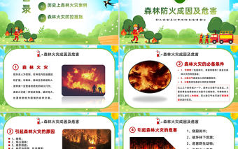 2023森林火災(zāi)重防范嚴控火源是關(guān)鍵PPT簡約風森林防火公益宣傳課件模板下載