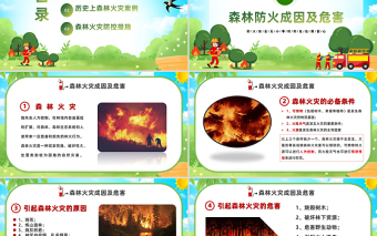 2023森林火災(zāi)重防范嚴(yán)控火源是關(guān)鍵PPT簡(jiǎn)約風(fēng)森林防火公益宣傳課件模板下載