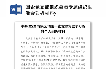 2021國企黨支部組織委員專題組織生活會(huì)剖析材料y