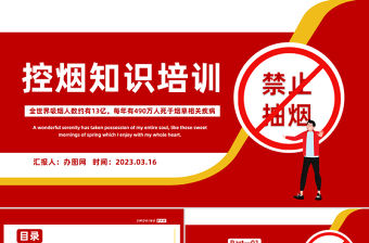 2023控煙知識培訓PPT卡通風控煙知識培訓課件模板下載