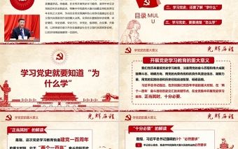 2021學(xué)習(xí)黨史守初心汲取力量擔(dān)使命熱烈慶祝中國共產(chǎn)黨建黨一百周年專題黨課PPT