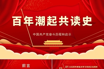 2022中国共产党的100年学习资料ppt