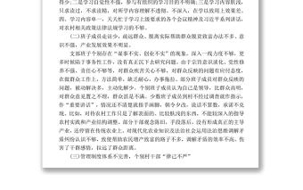 村黨支部2017年民主生活會(huì)對(duì)照檢查材料