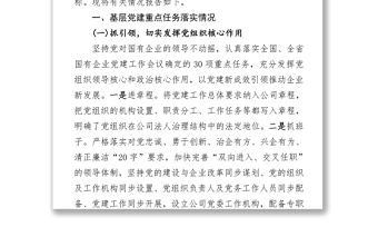 基層黨建重點任務落實情況報告