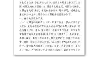 2021黨史學習教育專題民主生活會個人對照檢查材料（宣傳部長）