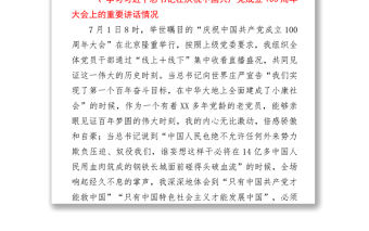 2021黨史專題組織生活會個人對照檢查（支部書記）