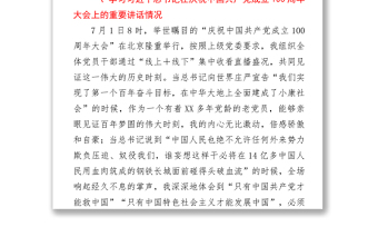 2021黨史專題組織生活會個人對照檢查（支部書記）