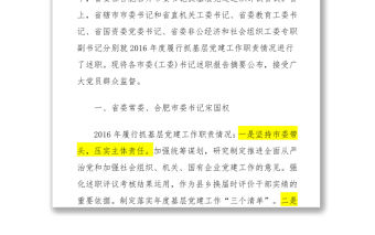 安徽省各市市委書記抓黨建述職報告