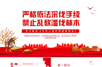 嚴格依法采伐手續禁止亂砍濫伐林木PPT插畫風學習解讀《中華人民共和國森林法》專題課件模板