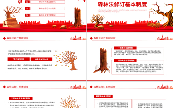 嚴(yán)格依法采伐手續(xù)禁止亂砍濫伐林木PPT插畫(huà)風(fēng)學(xué)習(xí)解讀《中華人民共和國(guó)森林法》專(zhuān)題課件模板